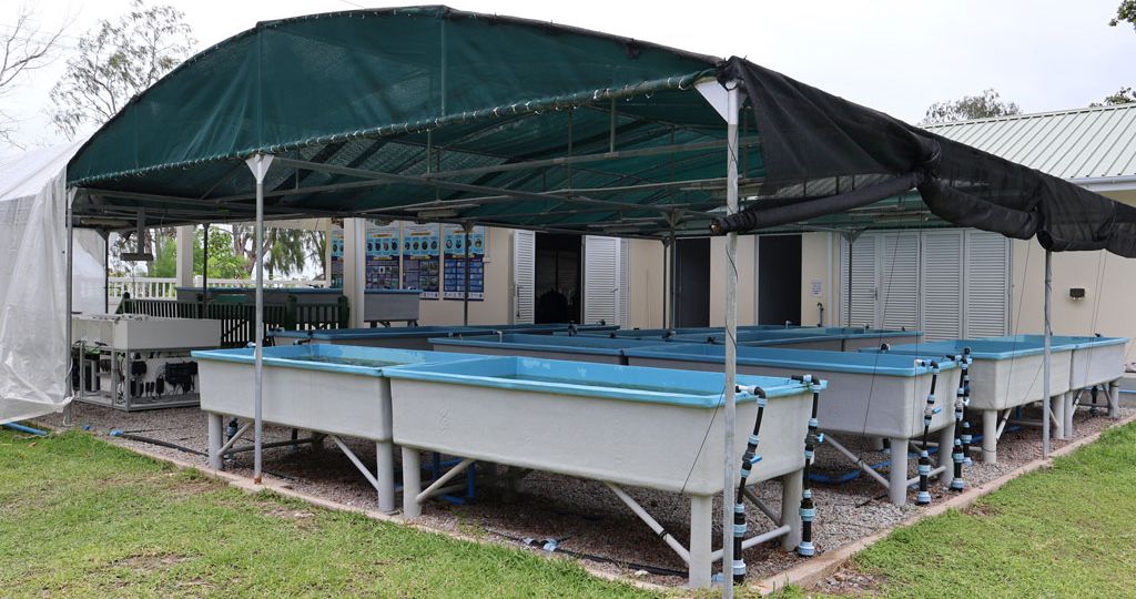 The-Assisted-Recovery-of-Corals-(ARC)-facility-on-Praslin-Island