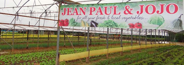jean-paul-and-jojo-banner