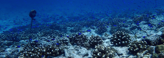 help-banner