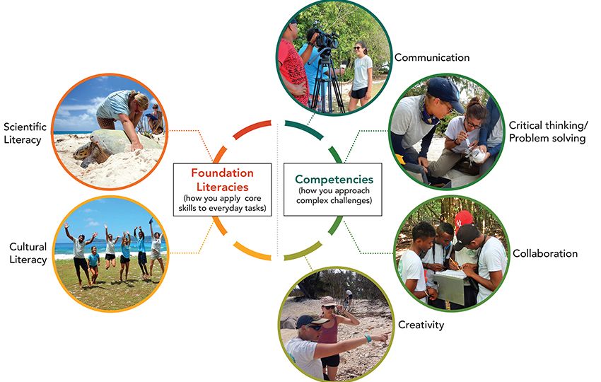 competencies