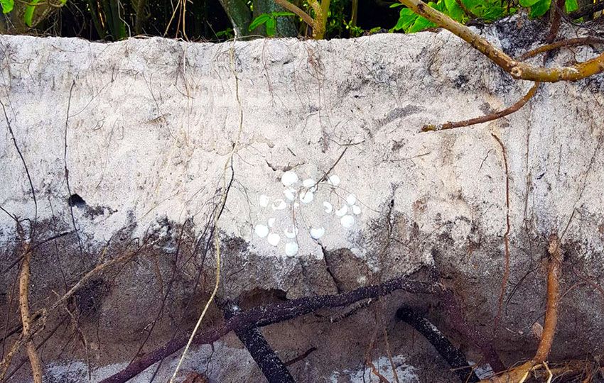 erosion exposed