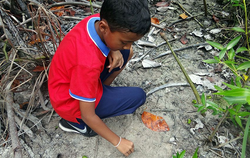 Being outdoors promotes curiosity creativity and critical thinking File photo