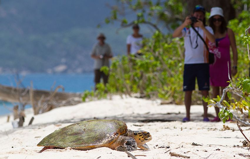 Conservation ensures that tourism has a sustainable and eco friendly destination