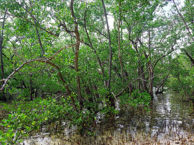 Putting local people at the heart of conservation better protects nature and secures livelihoods