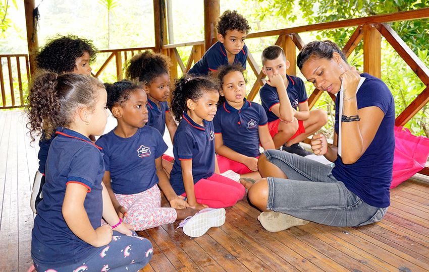 Learning how to identify bird behaviour