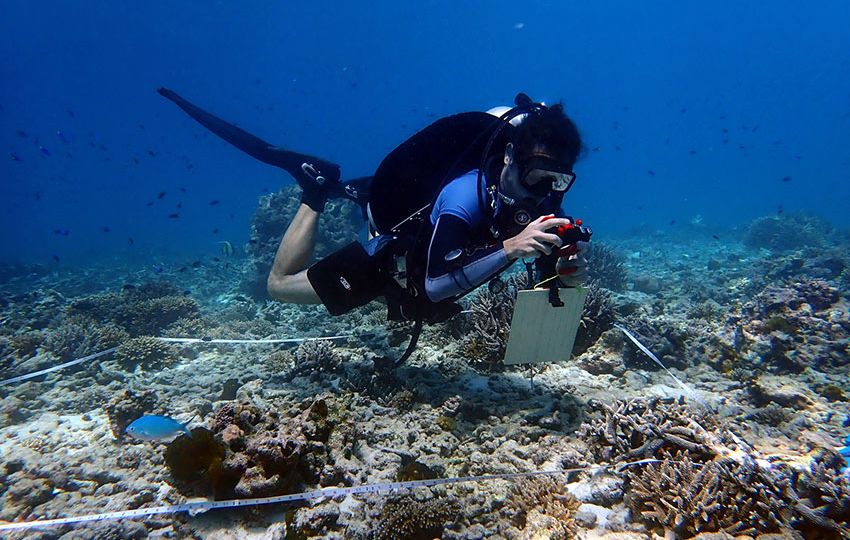 Surveying donor sites for coral collection