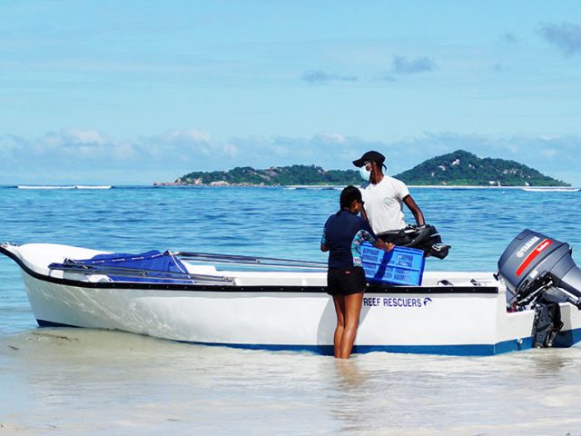 The boat is a 19ft mini mahe white in colour and blue at the bottom with an outboard Yamaha engine