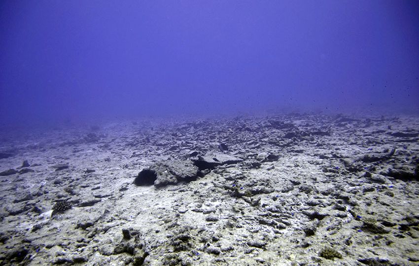 Weakened reefs end up as rubble