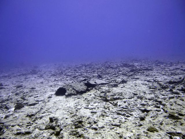Weakened reefs end up as rubble