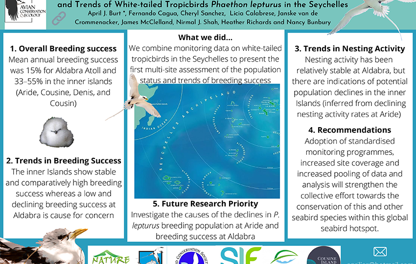 Combining Monitoring Data from Multiple Sites to Assess Population Status and Trends of White tailed Tropicbirds Phaethon lepturus in the Seychelles