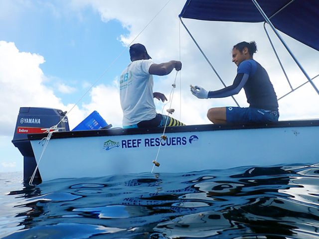 Nature Seychelles Reef Rescuers is based on Praslin and working in the Cousin Island MPA