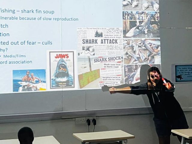 Sharks have a bad image in the media
