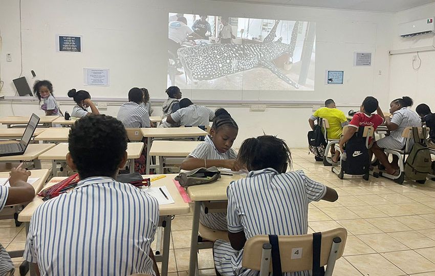 Environmental education is a crucial part of learning