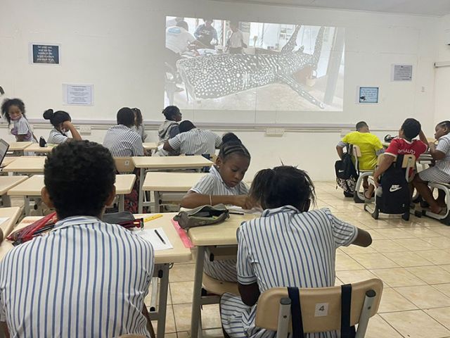 Environmental education is a crucial part of learning