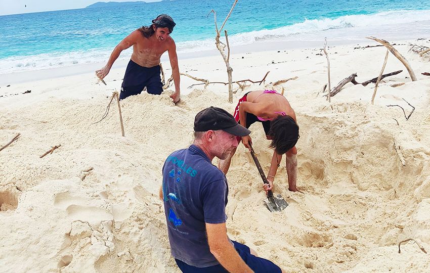 The three were excavating a turtle nest
