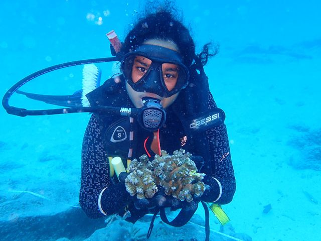 Athina holding corals colonies for outplanting at Athinopora