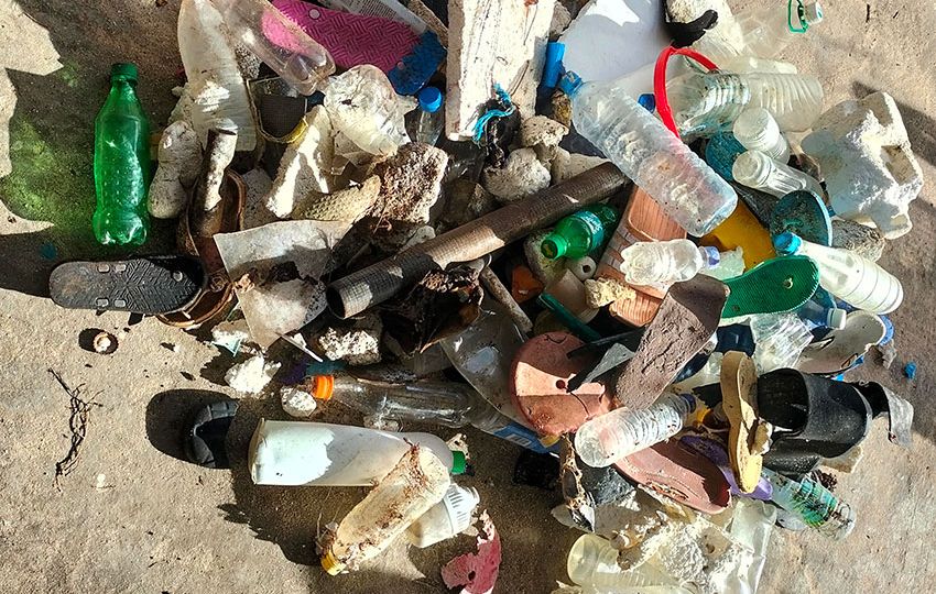 Some of the trash collected