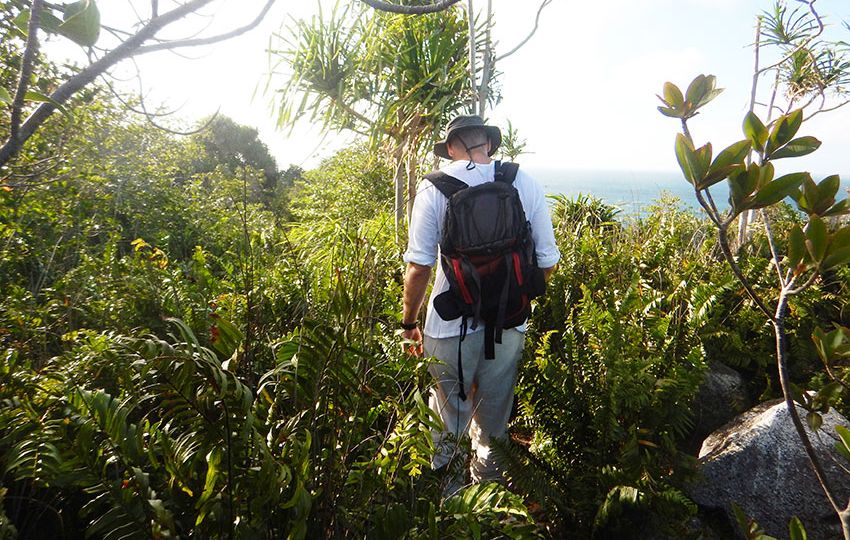 The sights sounds and scents of nature can have a soothing effect on our minds