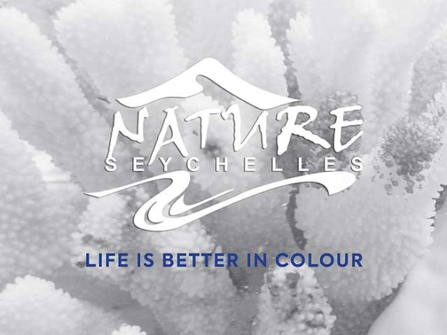 lifeisbetterincolour23