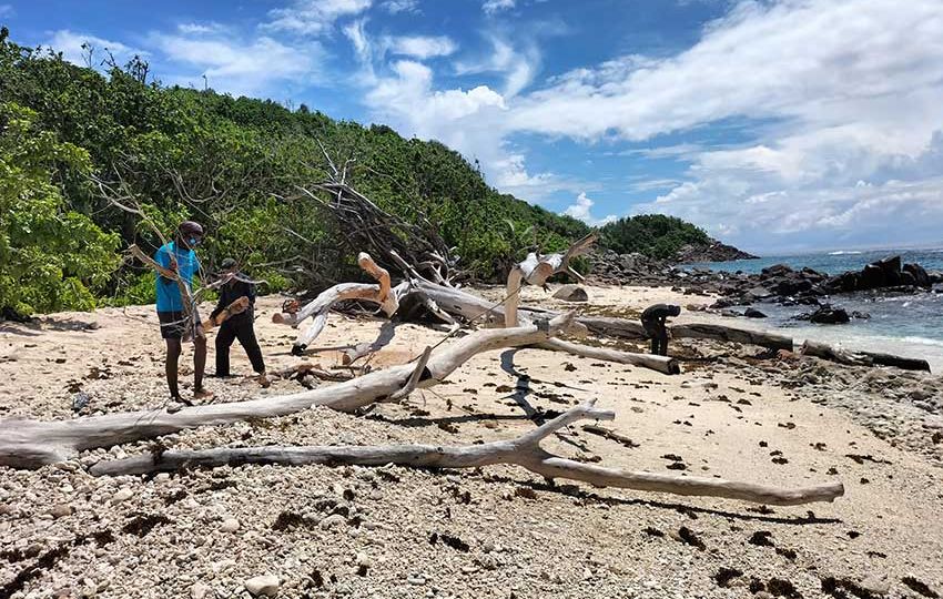 On nature trails and nesting beaches fallen trees and debris must be regularly cleared