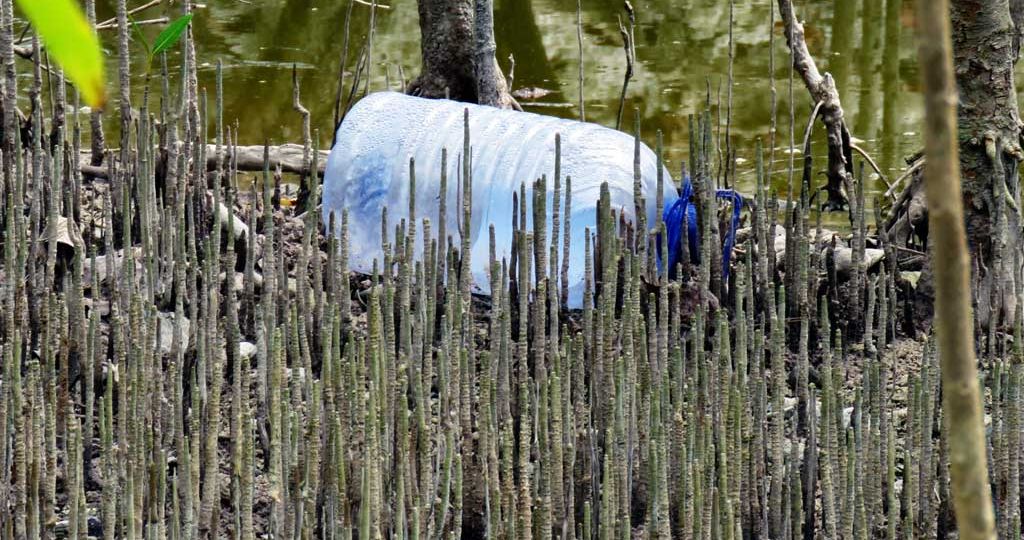In-mangroves,-beaches,-hiking-trails,-and-in-urban-environments-littering-persists