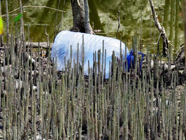 In-mangroves,-beaches,-hiking-trails,-and-in-urban-environments-littering-persists