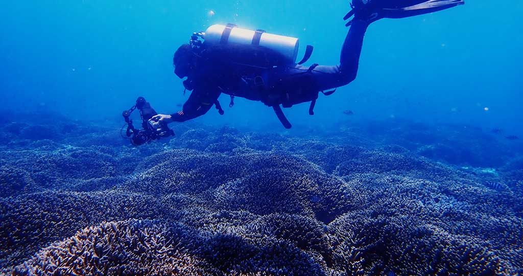 Leadership-coral-reefs