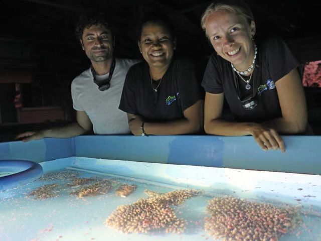 The-event-happened-at-Nature-Seychelles’-land-based-coral-aquaculture-facility-on-Praslin