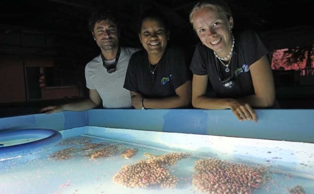 The-event-happened-at-Nature-Seychelles’-land-based-coral-aquaculture-facility-on-Praslin