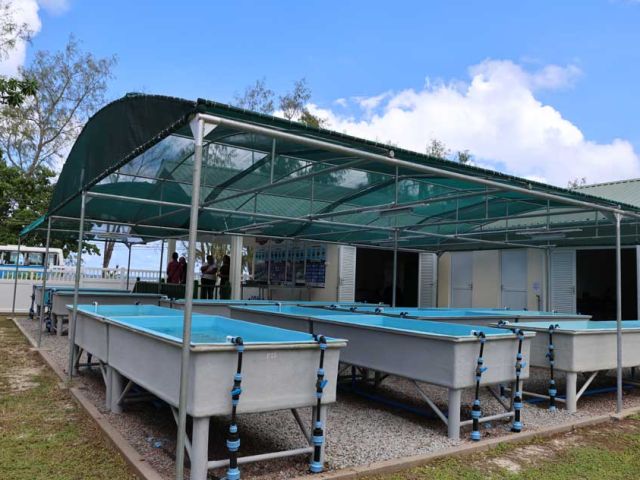 ARC-facility