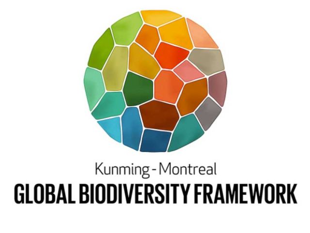 global-biodiversity-framework-logo2